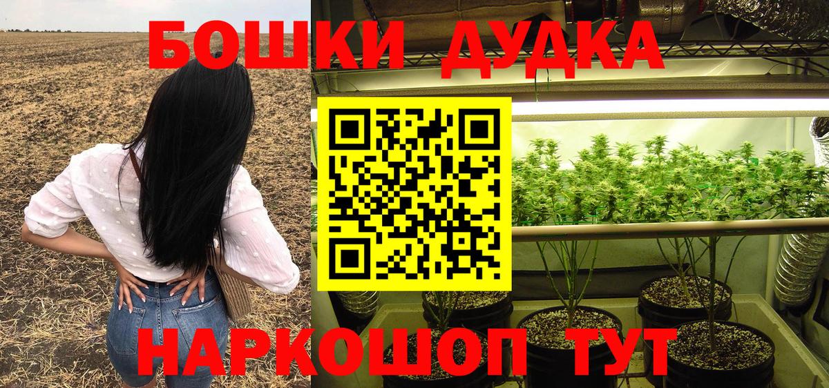 Бошки Шишки MAZAR Великие Луки
